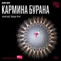 Театральный сезон в кинотеатре «Полярный» открыт!