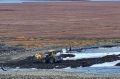 Работы по рекультивации городской свалки завершают в столице округа, сообщает ИА "Чукотка"