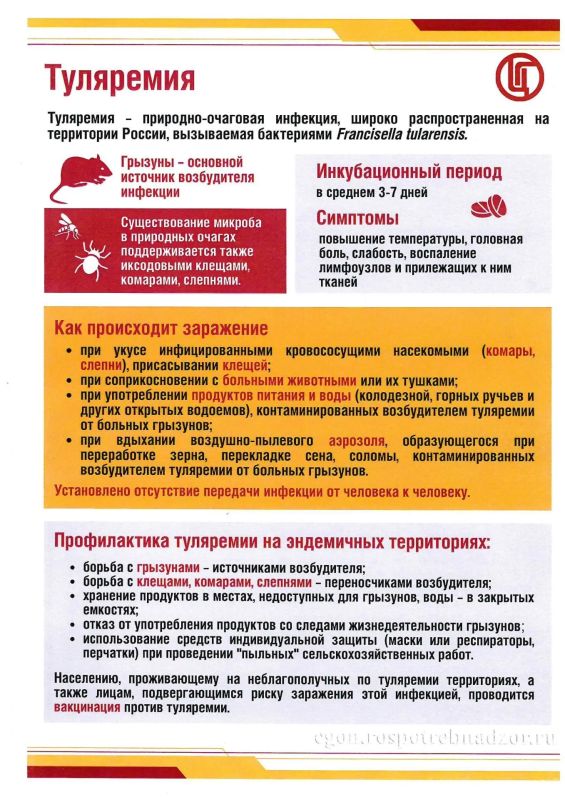 Чукотский район в МАХ | ВКонтакте Чукотский район в МАХ | ВКонтакте