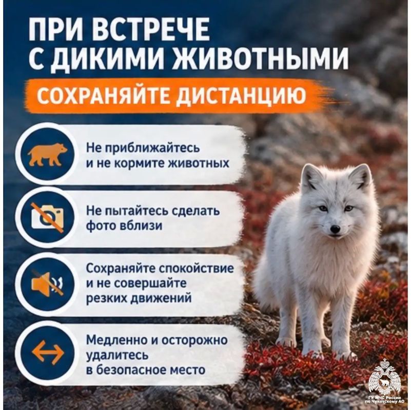 Безопасные выходные: отдыхайте с пользой и без происшествий Безопасные выходные: отдыхайте с пользой и без происшествий